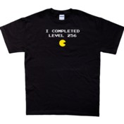 Level 256 T-Shirt