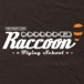 Alternative photo: Raccoon Flying School T-Shirt