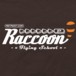 Alternative photo: Raccoon Flying School Hoodie