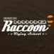 Alternative photo: Raccoon Flying School Girl's T-Shirt