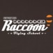 Alternative photo: Raccoon Flying School Hoodie