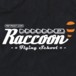 Alternative photo: Raccoon Flying School Girls T-Shirt